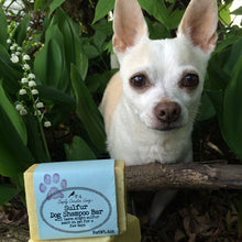 Load image into Gallery viewer, Sulfur Dog Shampoo Soap Bar - Vegan