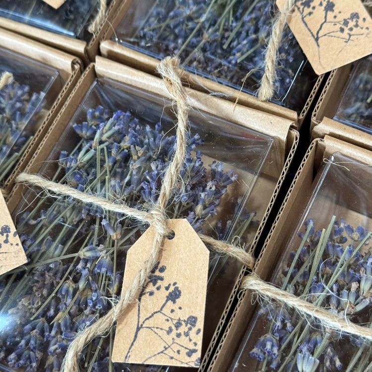 Lavender Picks for Hors d'Oeuvres, Shower Favors, Crafting