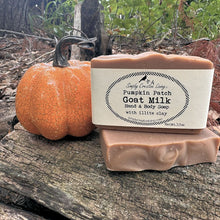 Load image into Gallery viewer, Pumpkin Patch Goat Milk Body &amp; Hand Soap