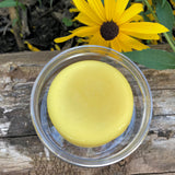 Solid Hair Conditioner in Travel Container or Refill - Vegan